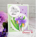 2023/02/13/Donna_W_Botanical_Orchids_1_by_Itsdonna35.jpg