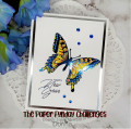 2023/02/13/Donna_W_FSS_Swallowtail_Butterfly_1_by_Itsdonna35.jpg