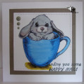 2023/02/28/Bunny_in_a_Cup_947_by_Precious_Kitty.JPG