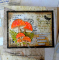 mushroom_1