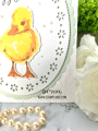 2023/03/26/duckling-bundle-color-layering-daisy-burst-spring-ovals-happy-Easter-Teaspoon-of-Fun-Hero-Arts-whimsy-stamps-creative-expressions-duck-2_by_djlab.PNG