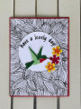 2023/04/03/hummingbirdscribble_by_cheermom.jpg