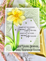 2023/04/08/Daffodil-fancy-die-carefree-wishes-hexagon-die-embossing-folder-mandala-spring-flower-Teaspoon-Of-Fun-Deb-Valder-Memory-Box-Hero-Arts-Penny-Black-Whimsy-Stamps-0_by_djlab.PNG