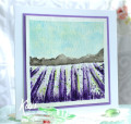 2023/04/20/Lavender_Fields_new_by_kiagc.jpg