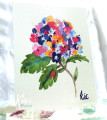 2023/04/25/Watercolour_Flower_by_kiagc.jpg