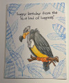 2023/05/21/Birthday_Bird_by_JRHolbrook.jpeg