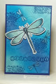 2023/05/25/WT950_Dragonflies_by_Jay_Bee.jpg