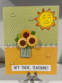 2023/06/02/Sunshine_by_paseely.jpg