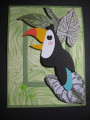 toucan_by_