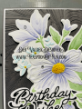 2023/06/30/Teaspoon-of-Fun-Deb-Valder-gracious-foral-embossing-folder-stencil-stamp-die-combo-Copic-birthday-wishes-poppy-fallen-leaves-ef-Memory-Box-Sizzix-2_by_djlab.PNG