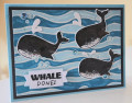 2023/07/23/Whale_Done_by_PeonySnail.jpg