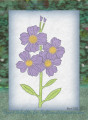 2023/08/30/CC963_Floral-Blush_card_by_brentsCards.jpg