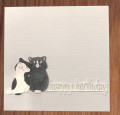 2023/10/02/Cat_Birthday_by_Wild_Cow.jpg