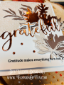 2023/11/06/Teaspoon-of-Fun-Deb-Valder-Grateful-edger-builder-Petals-Embossing-Folder-Just-Leaves-autumn-fall-gratitude-gift-Altenew-Penny-Black-4_by_djlab.PNG