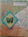 2023/11/09/Celebrate_Butterfly_by_victorial.jpg