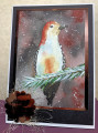 2023/12/13/Merry_woodpecker_by_Stamples.jpg