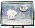 2024/02/22/Polar_Bear_Hugs_by_JRHolbrook.jpeg