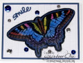 2024/02/23/blue_Knilght_Swallowtail_Butterfly_seuins_by_wannabcre8tive.jpg
