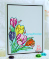 Tulips_by_