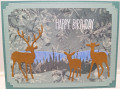 2024/03/08/Happy_Birthday_Deer_by_hotwheels.jpg
