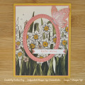 2024/03/10/Flamingo_Butterfly_on_the_Daffodil_Watermarked_by_DStamps.jpg