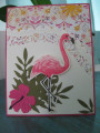 flamingo_b