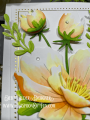2024/03/22/Teaspoon-of-Fun-Deb-Valder-graceful-anemone-delicate-anemone-stem-bud-duo-layered-greenery-stems-memory-box-4_by_djlab.PNG