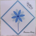 2024/03/23/IC955_The_Blue_Flower_by_Precious_Kitty.JPG
