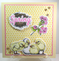 2024/03/31/Spring_Chicks_by_NanaDiana.JPG