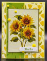 2024/04/06/4_6_24_Sunflower_Thanks_by_Shoe_Girl.jpg