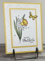 2024/04/07/Daffodil_Mothers_Day_Front_by_die_cut_diva.jpg