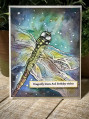 2024/05/30/dragonfly_wishes_by_nwilliams6.jpg
