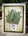 2024/06/02/pot_with_greenery_by_nwilliams6.jpg