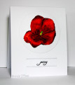 2025/04/22/Benzi_04-22-2025redpansy1_jpg_by_Benzi.JPG