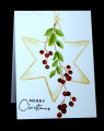 2025/07/12/Benzi_07-12-25berrystar1_jpg_by_Benzi.JPG