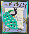 2025/07/26/7_26_25_M1_Peacock_by_Shoe_Girl.jpg