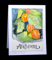 2025/11/04/Benzi_11-03-2025autumnflowers3_jpg_by_Benzi.JPG