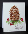 2025/11/25/Benzi_11-21-2025pineconewithberries1_jpg_by_Benzi.JPG