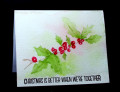 2025/12/02/Benzi_12-02-2025hollyberries1_jpg_by_Benzi.JPG