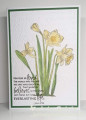 2026/02/01/FS991_EmbossedFloral_by_Jay_Bee.jpg
