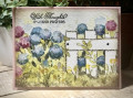 2026/02/10/garden_by_nwilliams6.jpg
