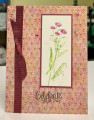 2026/02/15/FS993_Ribbon_Birthday_by_Dockside.jpeg