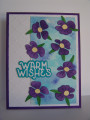2026/05/19/warm_blackberry_flowers_cc1105_suen_by_suen.JPG