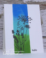 2026/05/28/inkadinkado_meadow2-1_by_Loll_Thompson.jpg
