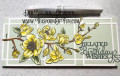 2026/06/02/Teaspoon-of-Fun-Deb-Valder-slimline-slim-magnolia-connected-rectangles-belated-birthday-wishes-copic-spring-0_by_djlab.jpg