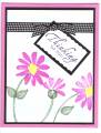 2009/04/22/Pink_Flowers_Black_Gingham_by_Penny_Strawberry.jpg