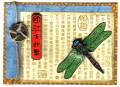 2007/04/18/Dragonfly_ATC_by_Minister_s_Wife.jpg