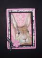 2008/02/23/Toilebunny_by_parkerquilter.JPG