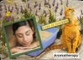 2008/06/19/Aromatherapy_Collage_by_parknslide.jpg