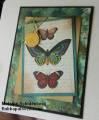 2009/08/01/ATC_butterfly_aug09_by_Msmellys.JPG
